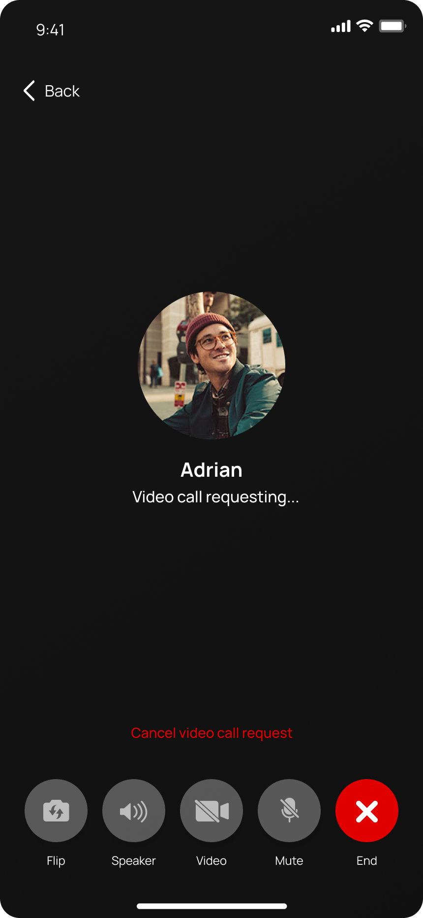 A NatChatt video call